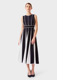 Grace Fit And Flare Midi Dress, Navy Ivory, hi-res