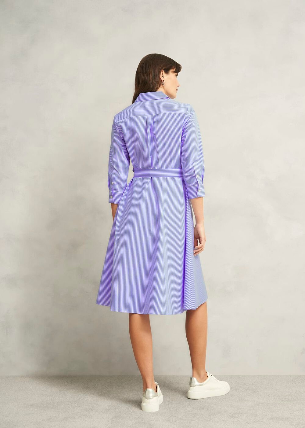 Petite Harlow Cotton Dress, Blue Ivory, hi-res
