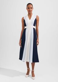 Jilly Fit And Flare Dress, Navy Blue Ivory, hi-res