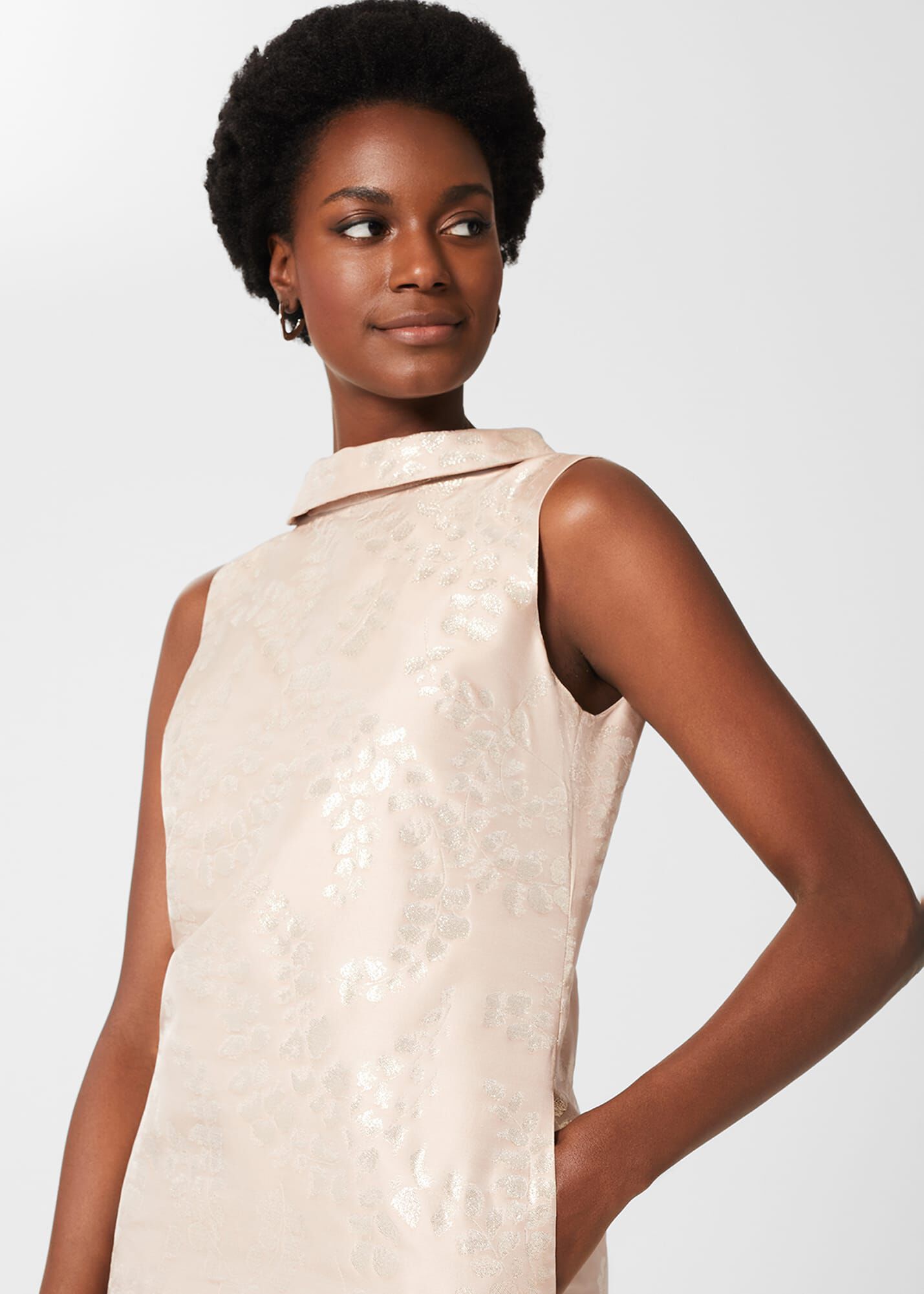 Hobbs rosalyn dress best sale