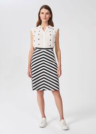 Talisa Cotton Stripe A Line Skirt, Navy White, hi-res