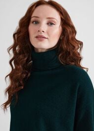 Delora Cashmere Roll Neck Sweater, Hawthorn Green, hi-res