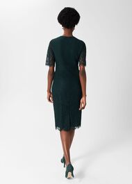 Mireya Lace Shift Dress, Evergreen, hi-res