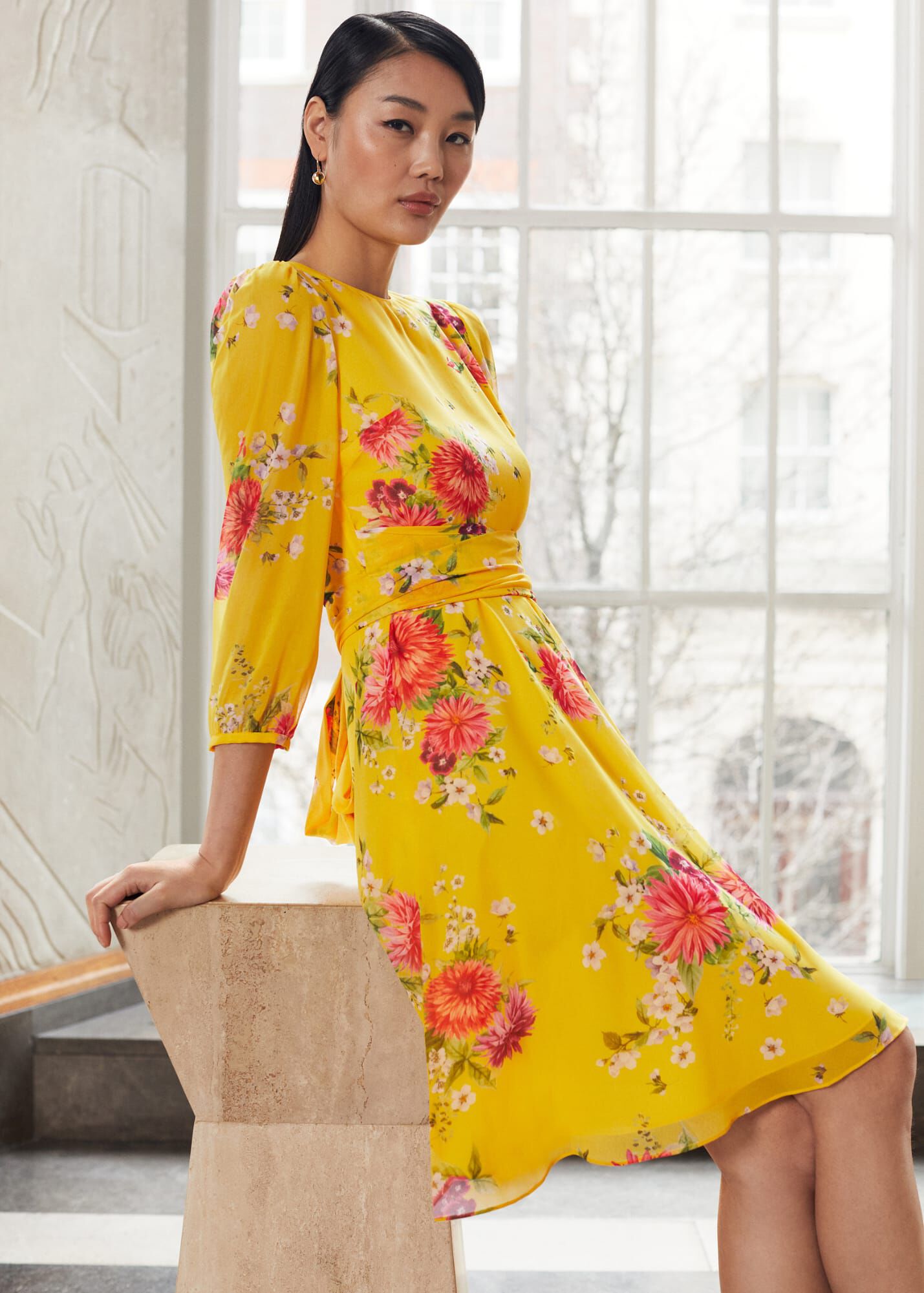 Hobbs sales cassie dress