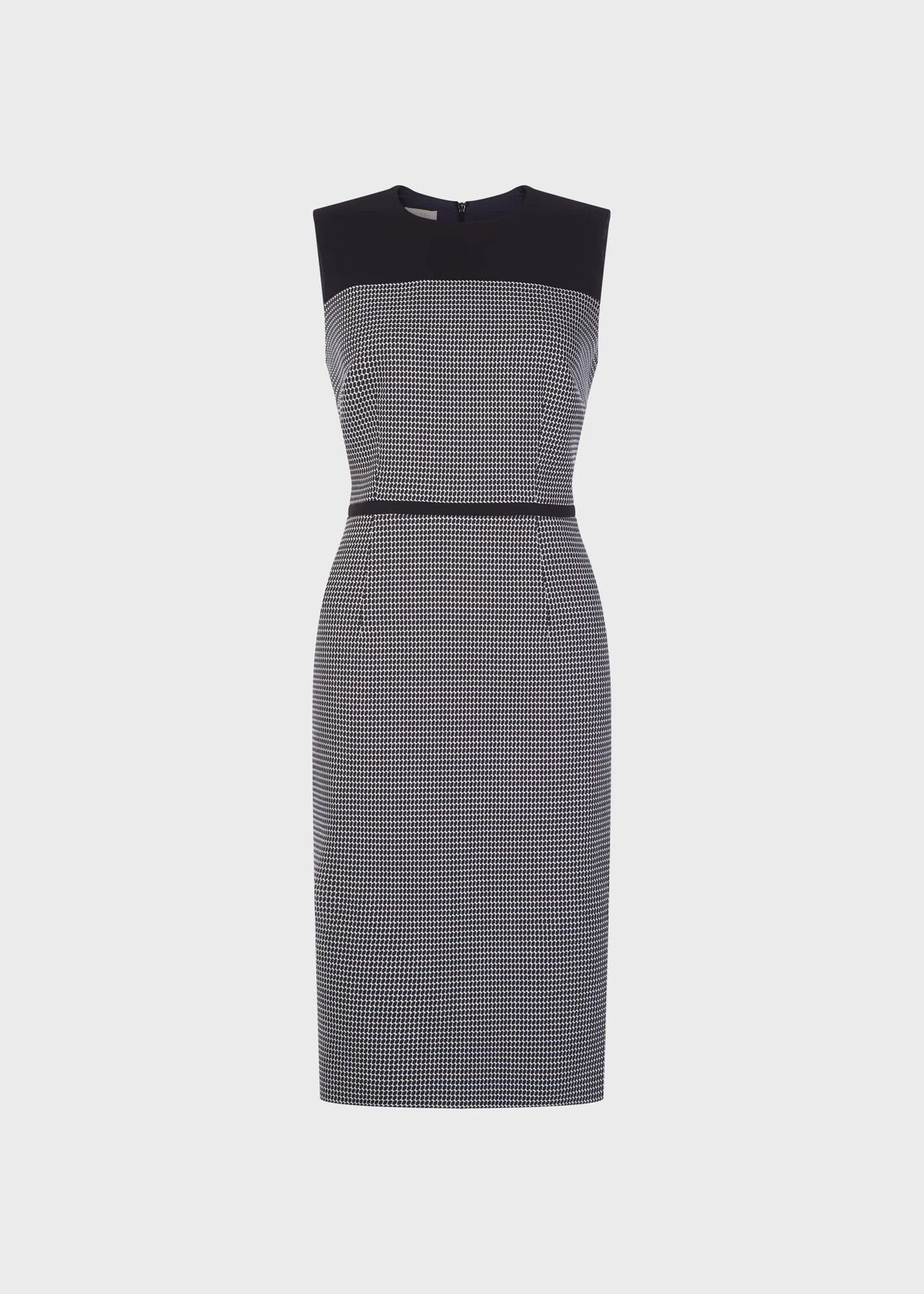 Petite Brianna Dress Navy Ivory