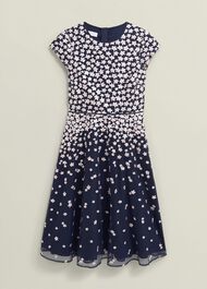 Petite Betty Embroidered Dress, Midnight Pink, hi-res