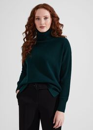 Delora Cashmere Roll Neck Jumper, Hawthorn Green, hi-res