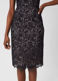 Anastasia Lace Shift Dress, Navy Oyster, hi-res