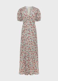 Dormer Floral Fit And Flare Dress, Green Red Multi, hi-res