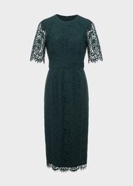 Mireya Lace Shift Dress, Evergreen, hi-res