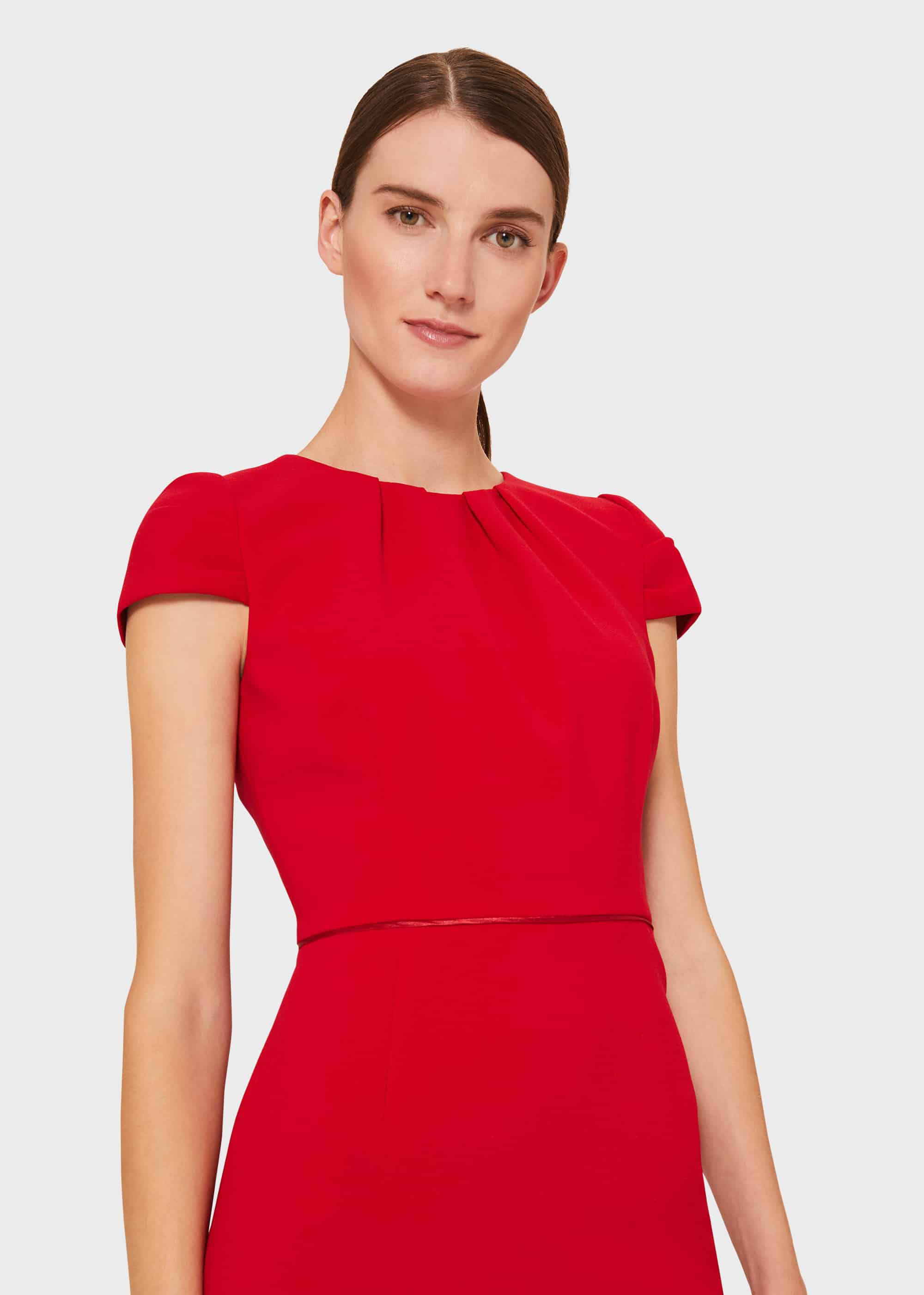 hobbs poppy dress