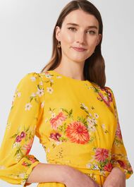 Jasmina Floral Fit And Flare Dress, Yellow Multi, hi-res