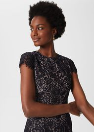 Anastasia Lace Shift Dress, Navy Oyster, hi-res