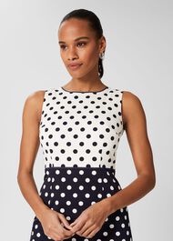 Fiona Spot Shift Dress, Navy Ivory, hi-res