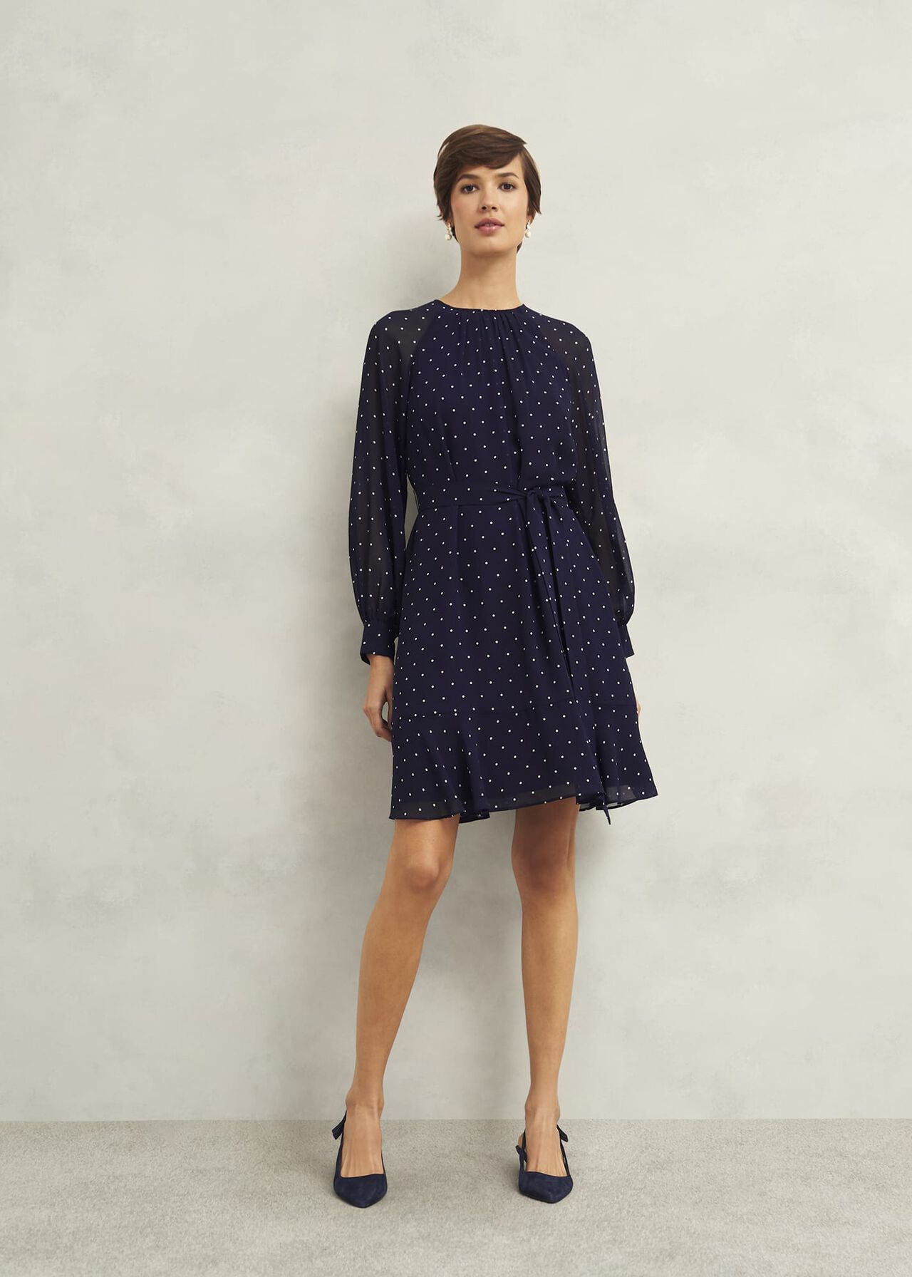 Hobbs Rosie Dress