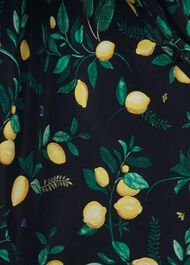 Carina Printed Midi Dress, Navy Multi, hi-res