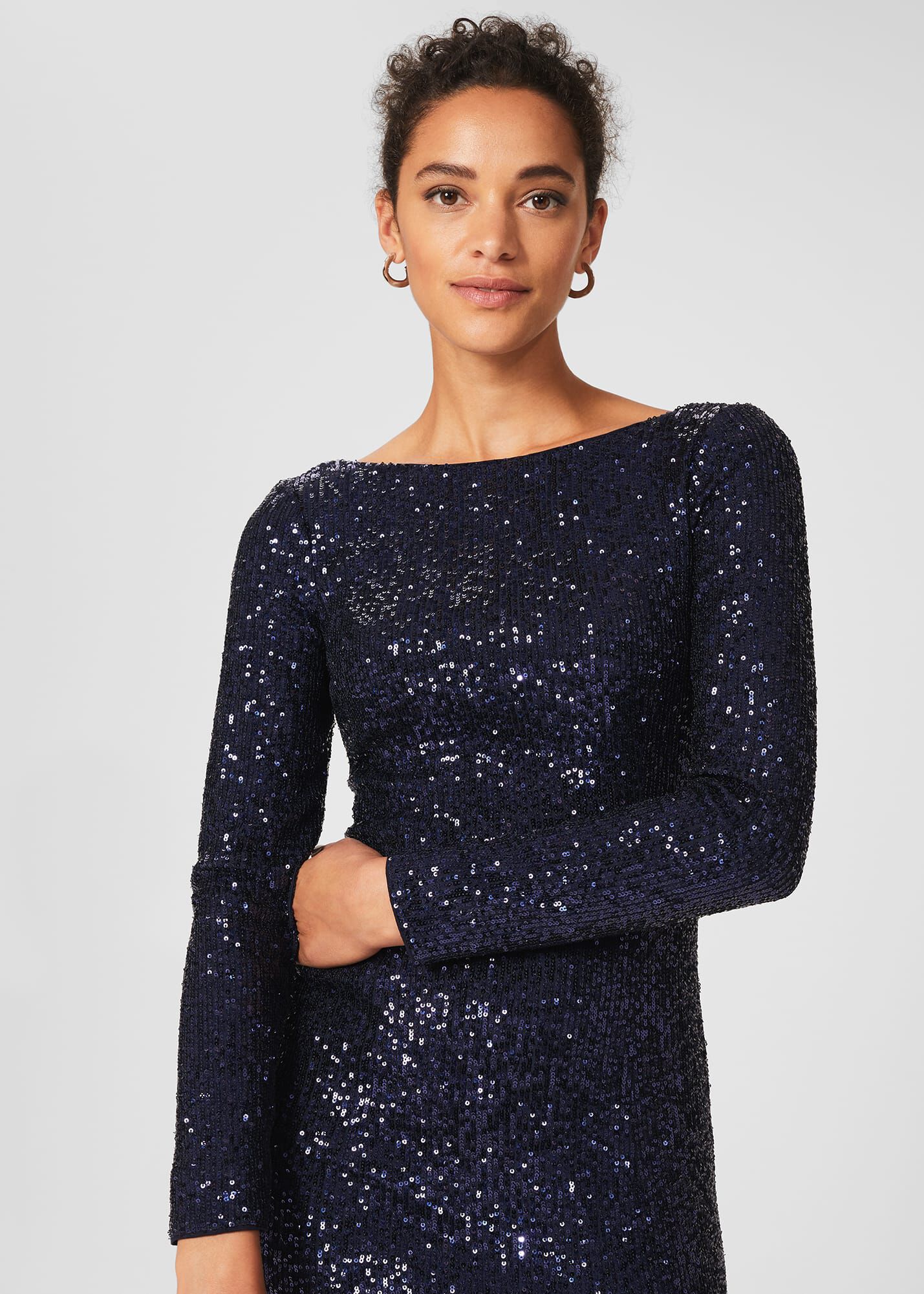 Hobbs sawyer velvet hot sale dress