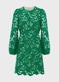 Kew Lace Mini Dress, Green Cream, hi-res
