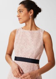 Iris Embroidered Fit And Flare Dress, Blush Pink, hi-res