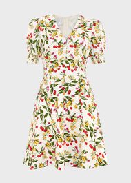 Coniston V Neck Mini Dress, Ivory Multi, hi-res