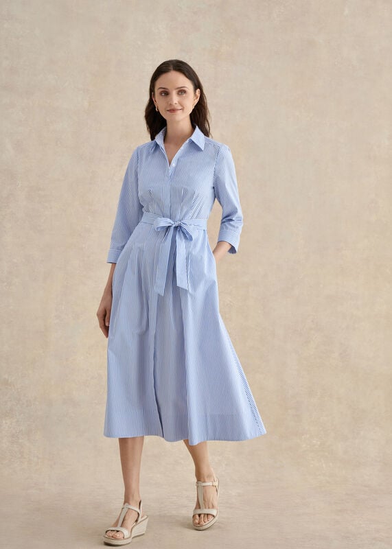 Petite Jane Shirt Stripe Dress
