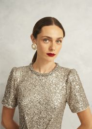 Shirley Sequin Trimmed Maxi Dress, Champagne, hi-res