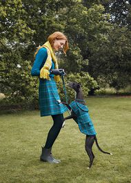 Tweed Dog Lead, Green Multi, hi-res
