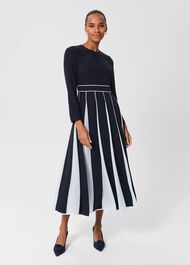 Petite Cecilia Fit And Flare Dress, Navy Pale Blue, hi-res