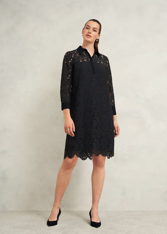 Marciella Lace Dress