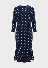 Liza Dress, Navy Ivory, hi-res