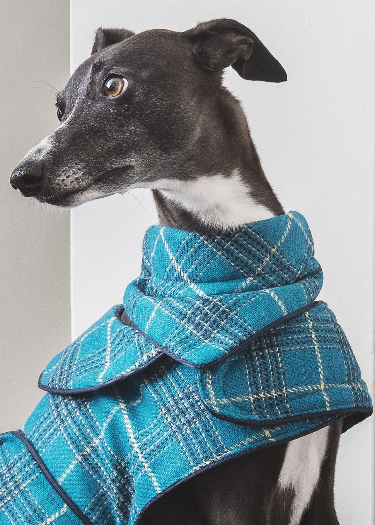 Tweed Dog Bandana, Multi, hi-res