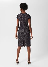 Anastasia Lace Shift Dress, Navy Oyster, hi-res