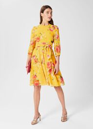 Jasmina Floral Fit And Flare Dress, Yellow Multi, hi-res