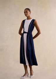 Petite Louise Colourblock Dress, Midnight Pink, hi-res