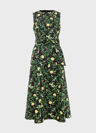 Tanya Dress, Black Multi, hi-res