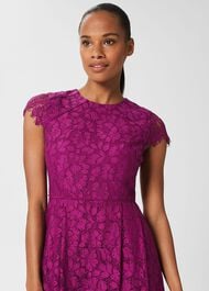 Rosaleen Lace Shift Dress, Berry Purple, hi-res