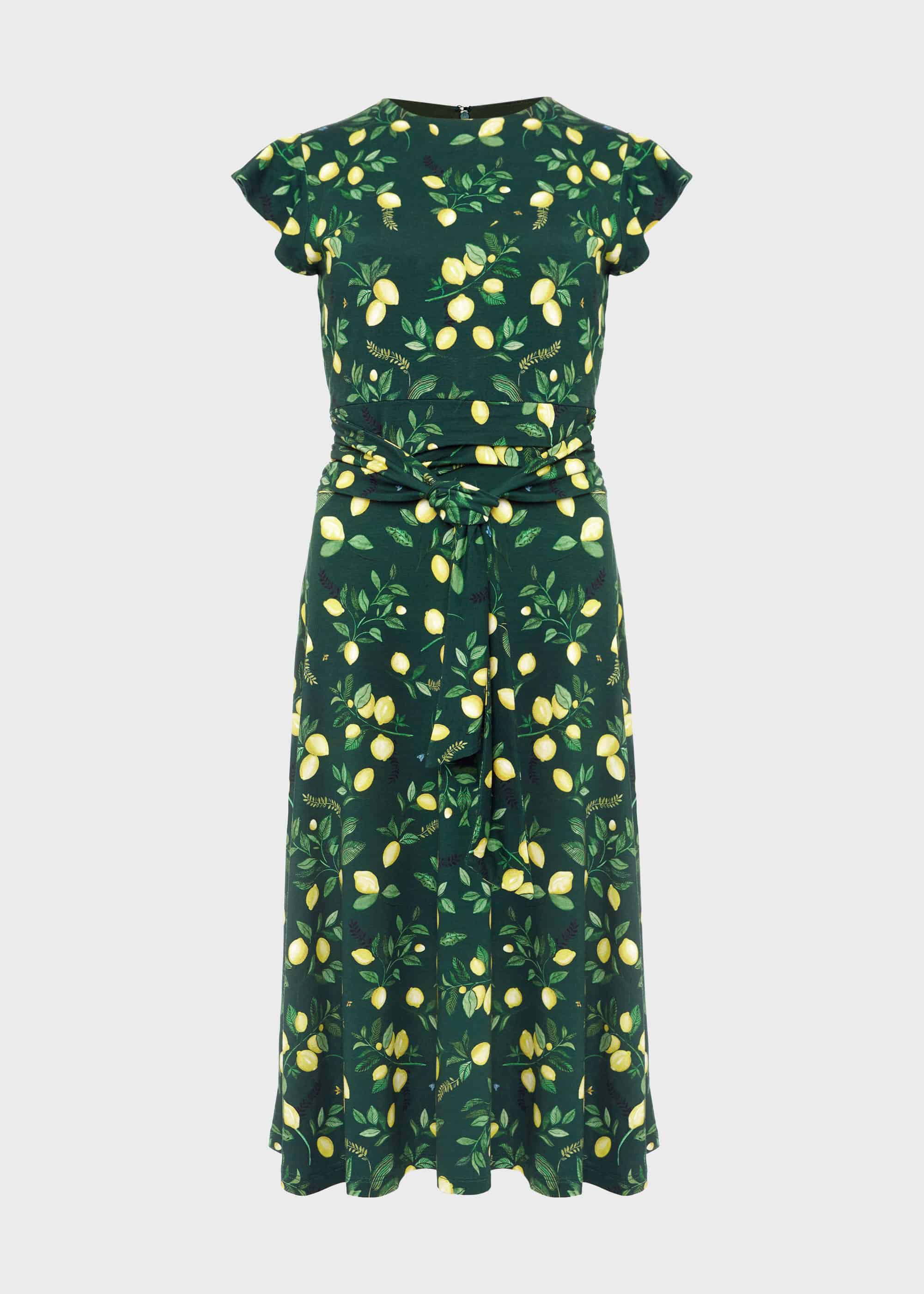 Hobbs cici hot sale dress