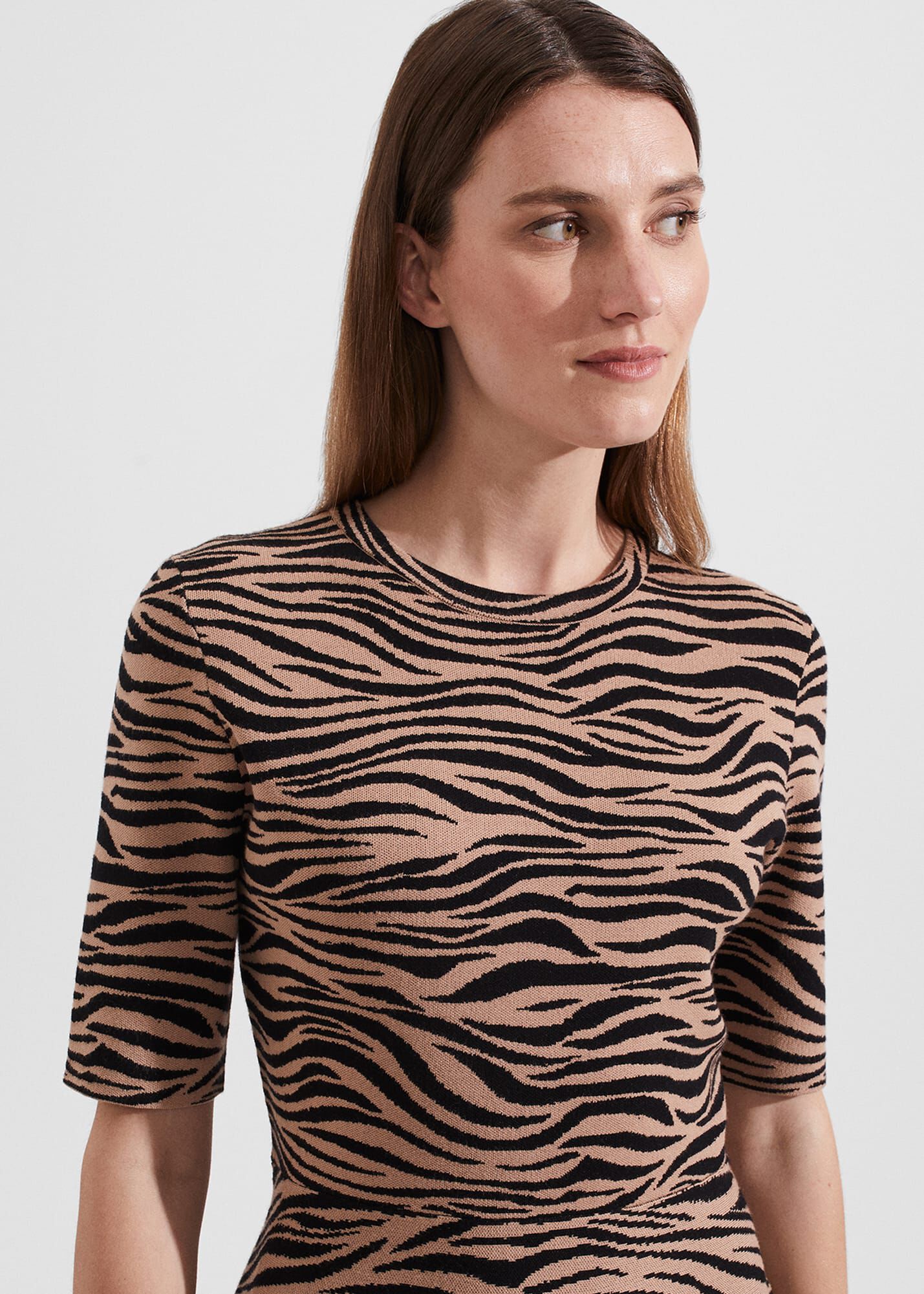 Hobbs best sale madison dress