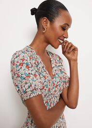 Dormer Floral Fit And Flare Dress, Green Red Multi, hi-res