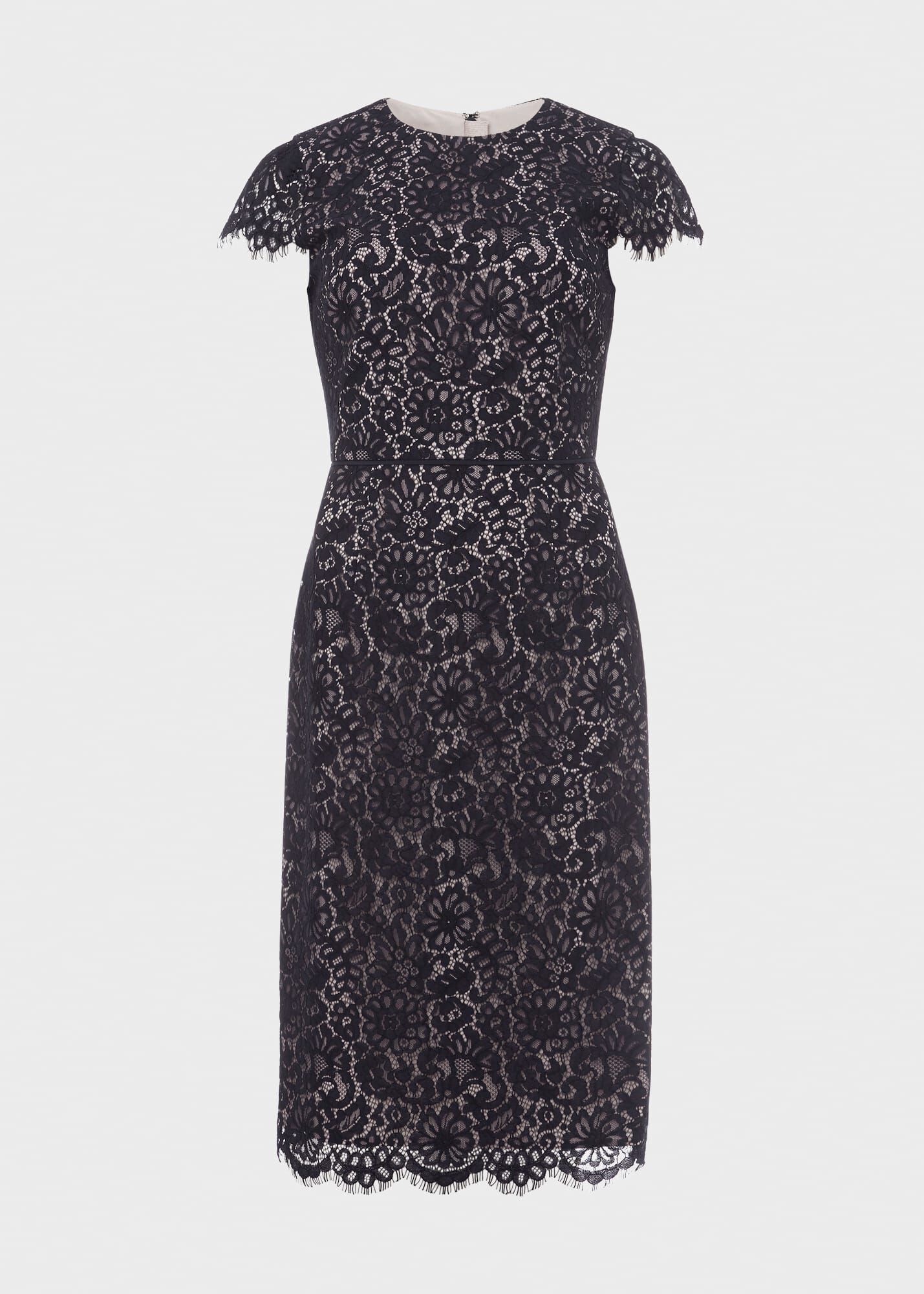 hobbs anastasia shift dress