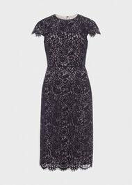 Anastasia Lace Shift Dress, Navy Oyster, hi-res