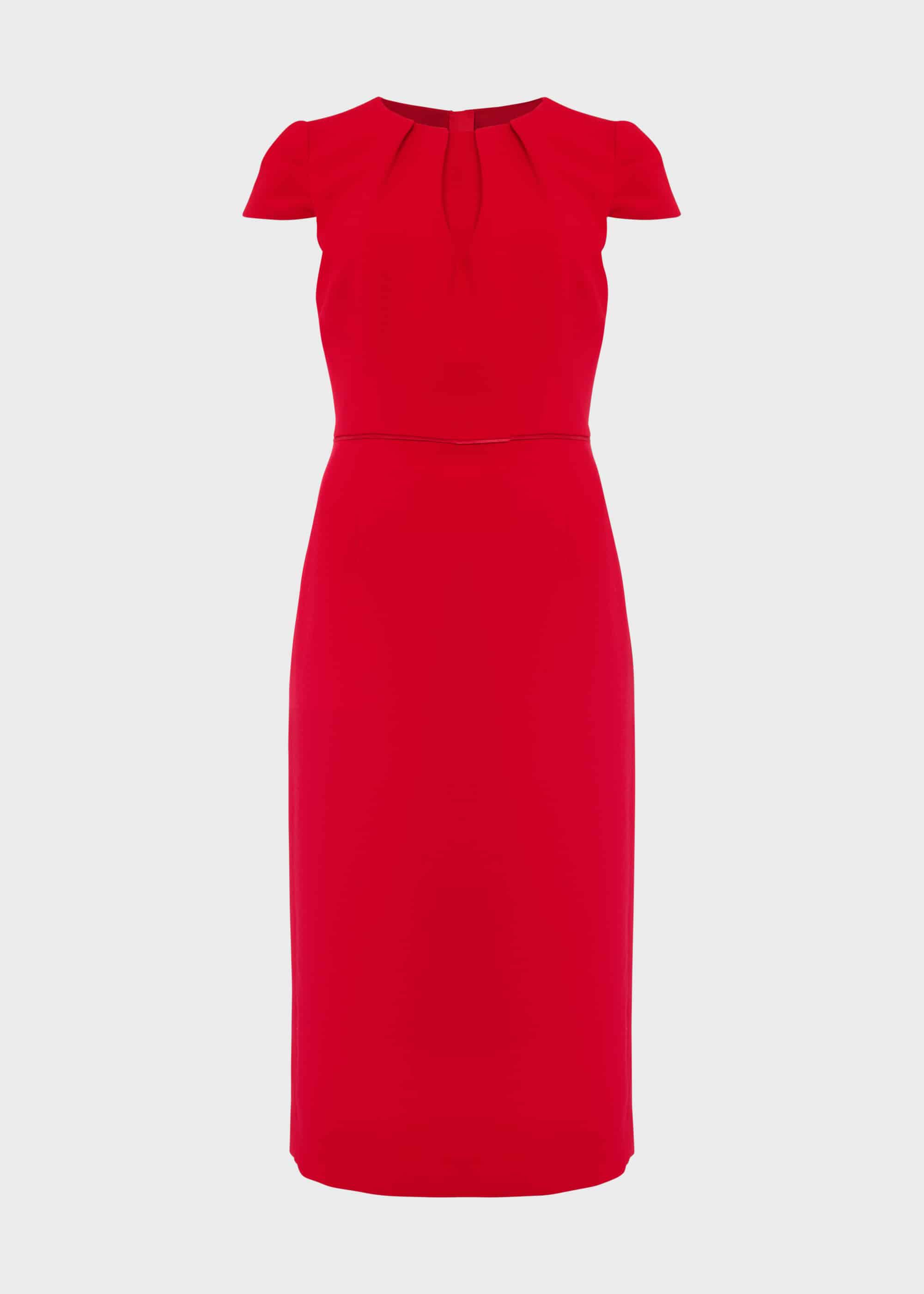 hobbs poppy dress