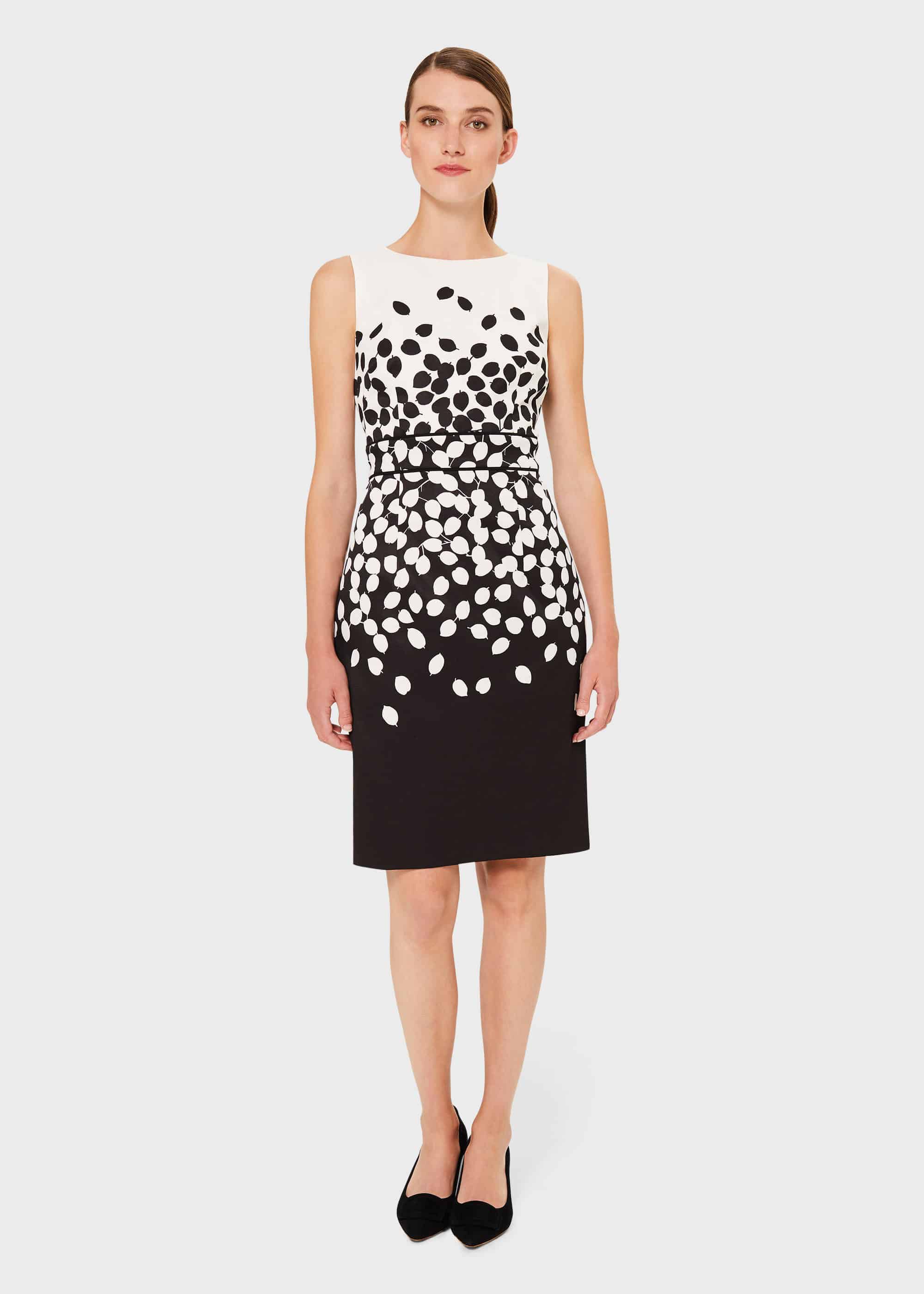 moira dress hobbs