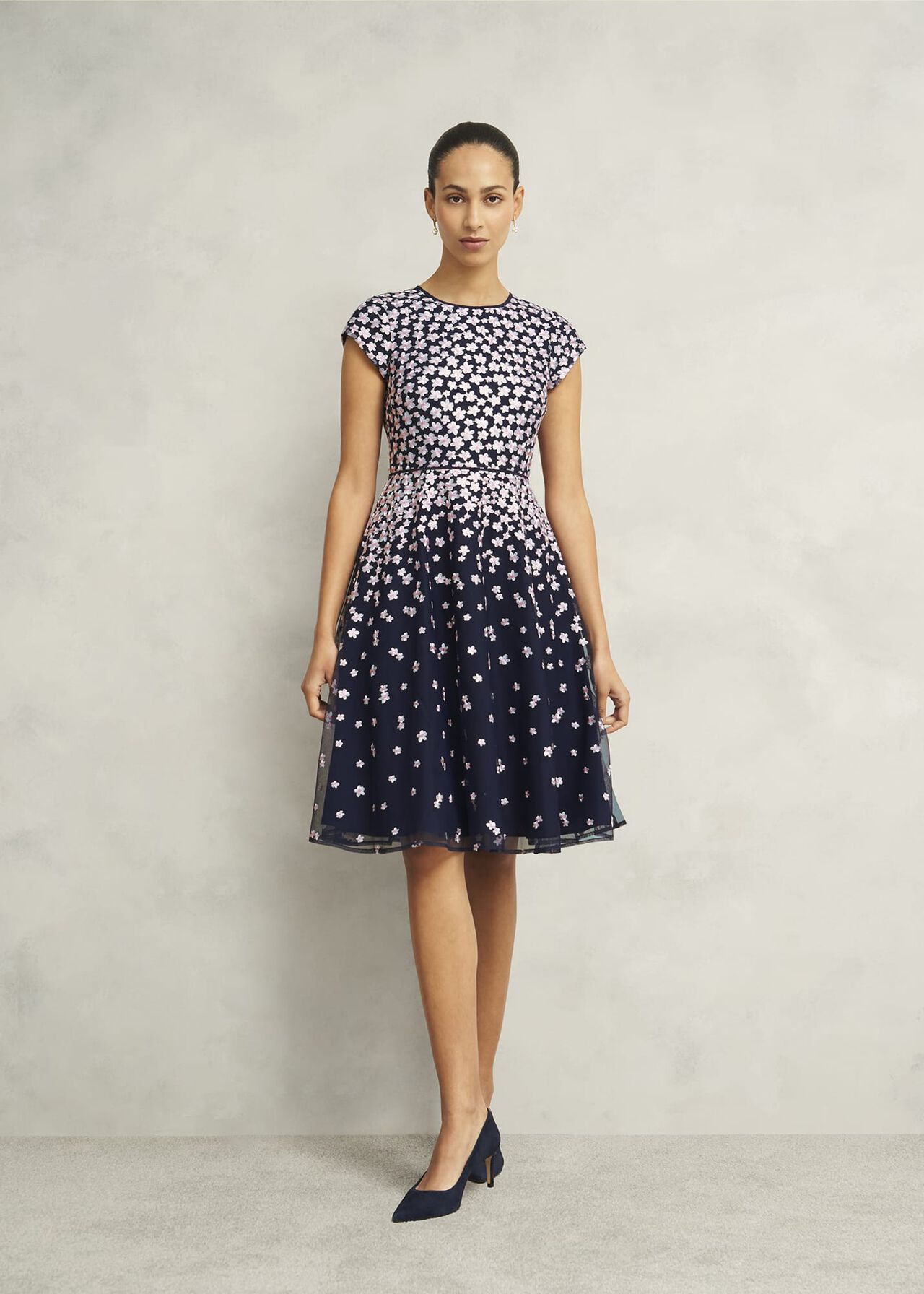 Hobbs Betty Embroidered Dress