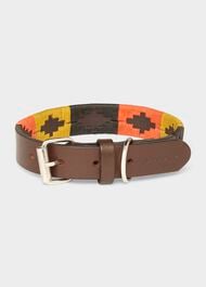 Leather Dog Collar, Multi, hi-res