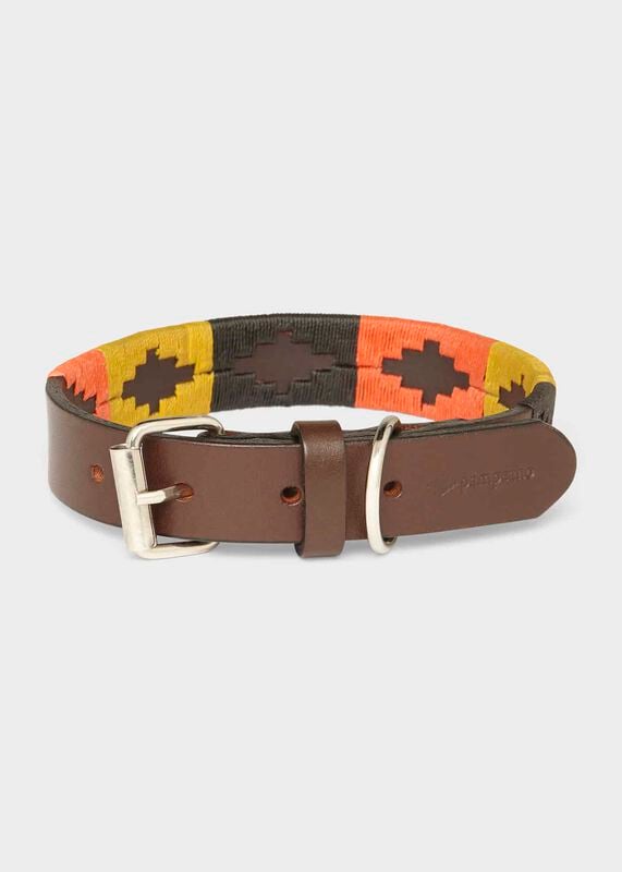 Leather Dog Collar