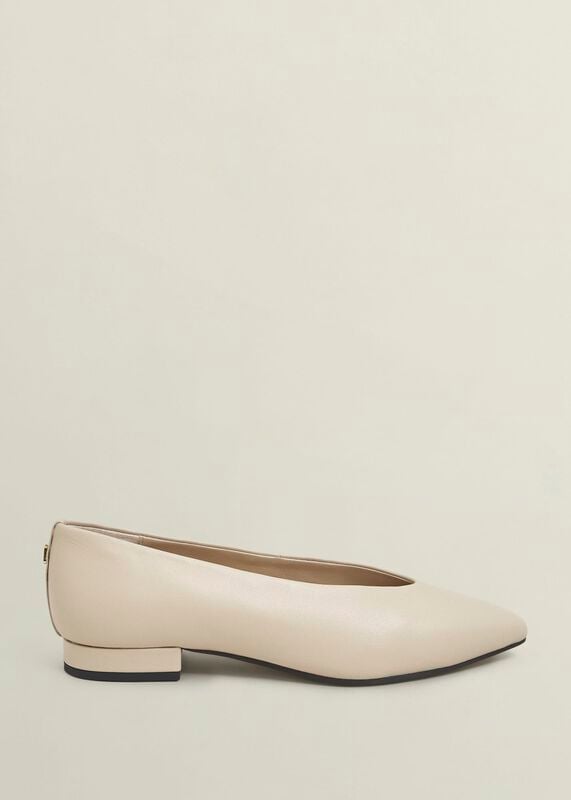 Asher Leather Ballerinas