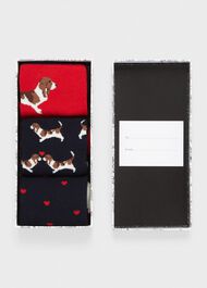 Beagle Dog Sock Set, Navy Red, hi-res