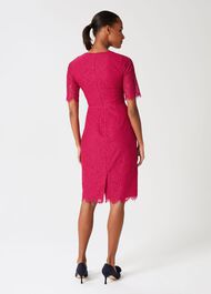 Anastasia Lace Shift Dress, Fuchsia Pink, hi-res