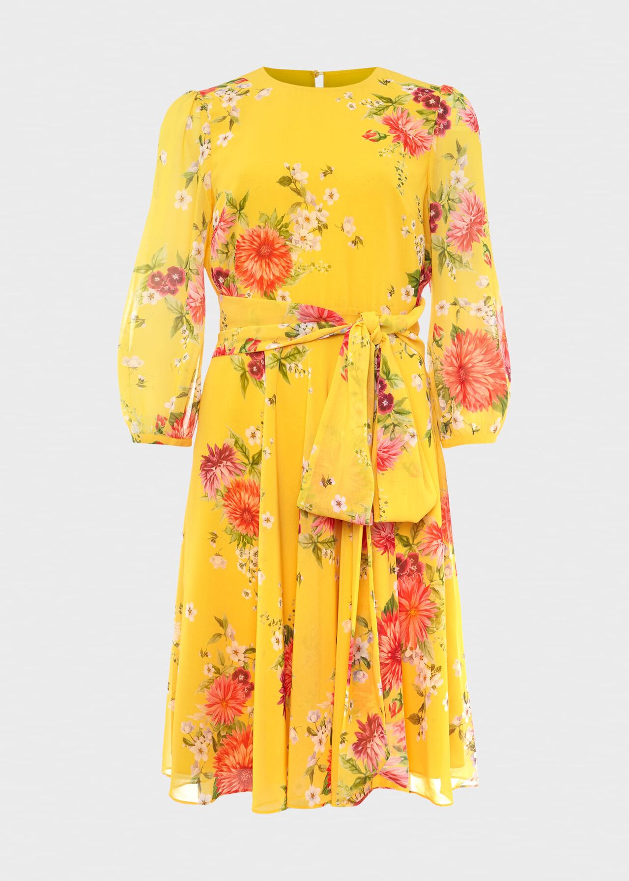 Jasmina Floral Fit And Flare Dress, Yellow Multi, hi-res